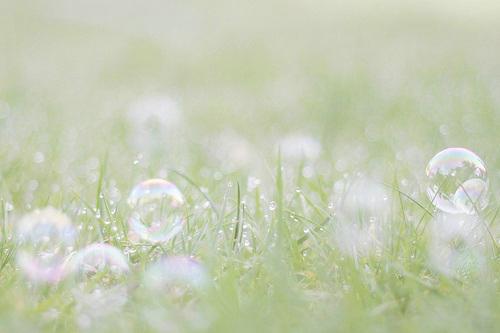 那么请查看编辑器中所选句子的列表