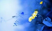 形容家庭亲情的句子说说心情短语