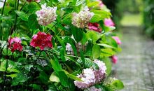 七夕表达爱意的句子大全