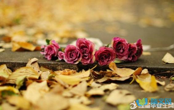 我没有意识到绿树是如此绿