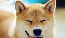 搞笑句子越长越好