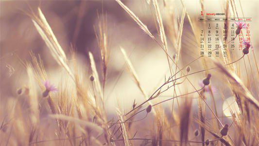 编辑整理了一些有关让女友开心的句子