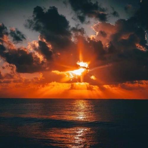 您只是依靠我来喜欢您