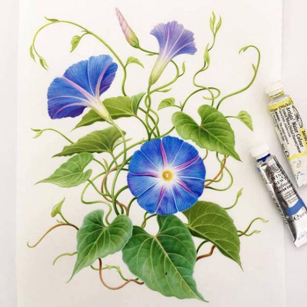 但没有带走果实