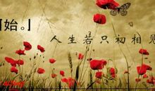 描写相遇的诗句