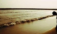 关于爱情心痛到扎心的句子