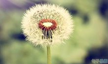 人生哲理句子精辟