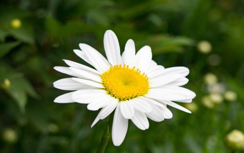 家庭需要家人的陪伴