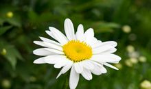 呼吁人们亲情陪伴的句子