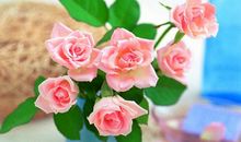 人生感悟感恩的句子