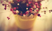 乔迁之喜适合发的朋友圈的句子