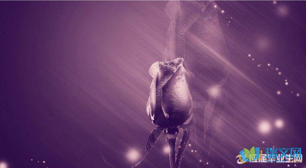 自从您出现之后