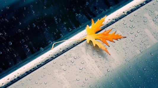 掌握关键点并以平衡的方式发展