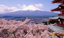 爱情错过后悔的句子