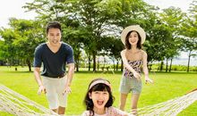 关于亲情主题的句子