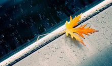 有亲情句子说说心情