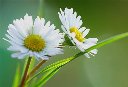 时间不能保持昨天