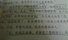 描写老人的词语