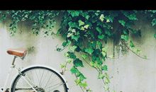 以后要多笑笑的说说