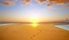 每一天都是全新的一天的说说