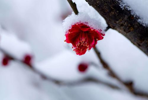每个人都不可避免地会有片刻的心痛