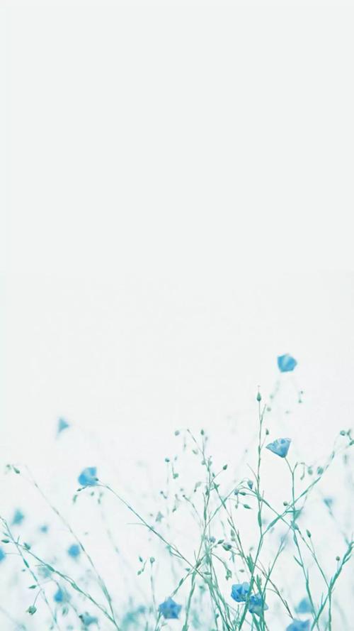 请欣赏小编关于每一个幸福的句子