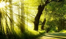 表现亲情温暖的句子