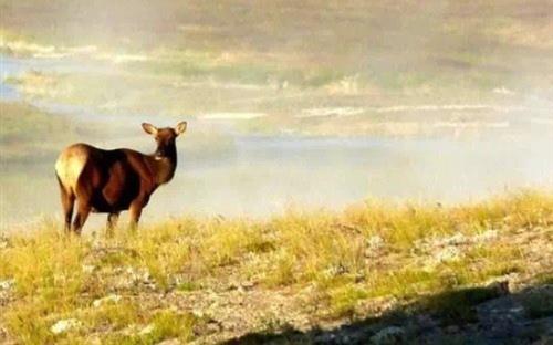 人与自然应该和谐相处