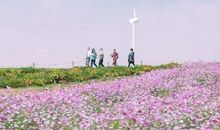 森系有意境的爱情句子