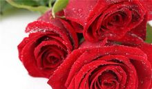 结婚二十五周年纪念日说说，银婚里风雨同舟的甜蜜感言