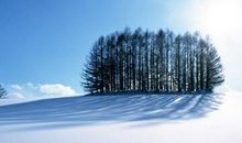 经典文字控：不要拿着别人的地图，去寻找自己的路