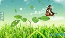 用心做事的句子