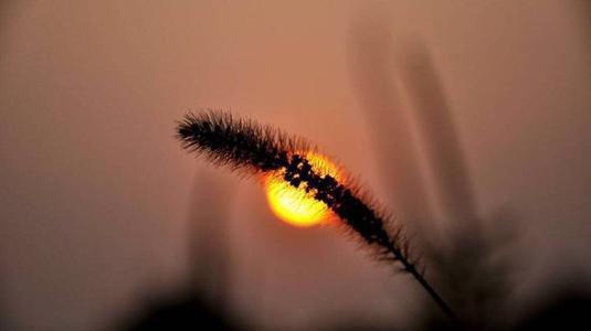 我亲爱的您付出的代价比我还高