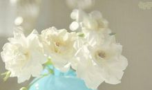 致自己的一段话，致自己的说说大全