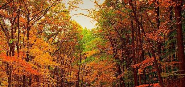 如果您决定不要后悔