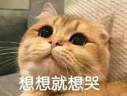 以下是一个有人觉得应该哭的句子