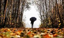 让人对感情失望的句子