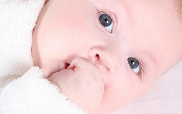 他们是最美丽的