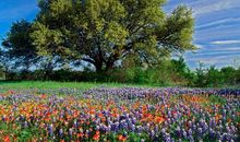 环境衬托开心的心情的句子