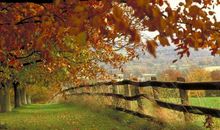 秋天来了的说说