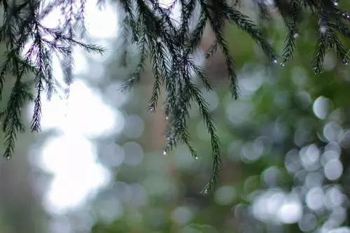 但看不到我在键盘上滴下的眼泪