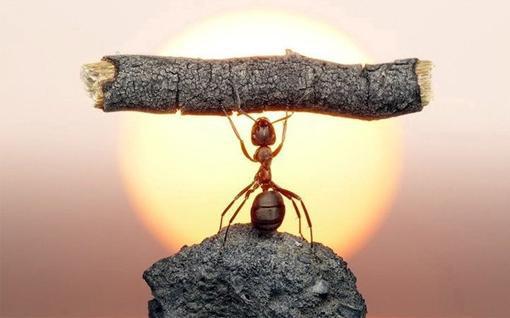  [使您变得坚强的句子]坚强之后