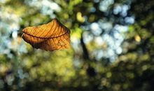 对朋友失望忠告的句子