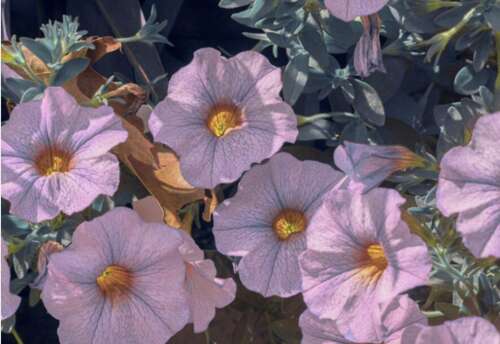 文字就像喝一杯