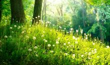 适合夏天发的心情说说 超温柔的短句夏天