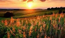 对朋友之间失望的句子