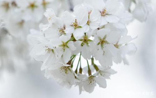 不相爱是最可怕的