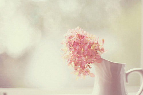 而且我们不能再这样做了