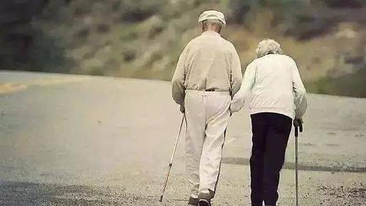 我在养老院2看到老人的悲惨句子