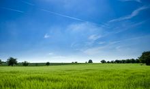 家庭感受到亲情的句子